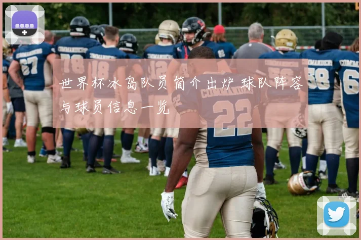 世界杯冰岛队员简介出炉 球队阵容与球员信息一览