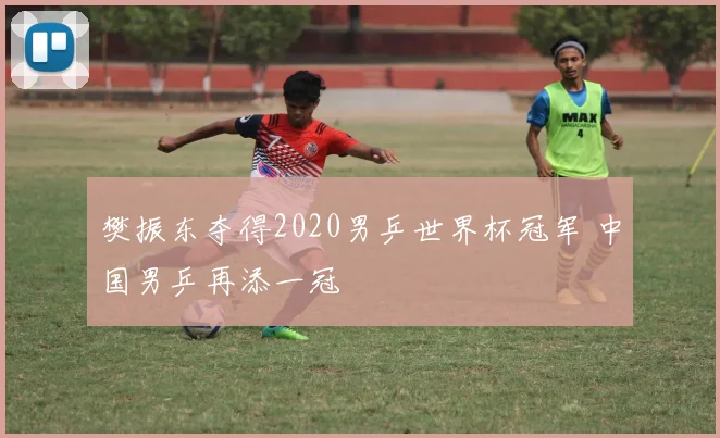 樊振东夺得2020男乒世界杯冠军 中国男乒再添一冠