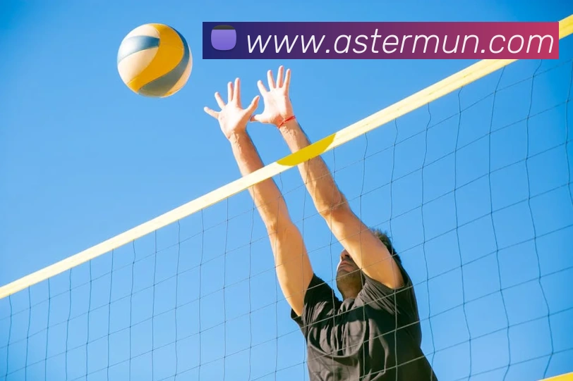 世界杯官方入口发展历程